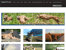 Tablet Screenshot of blog4evita.com